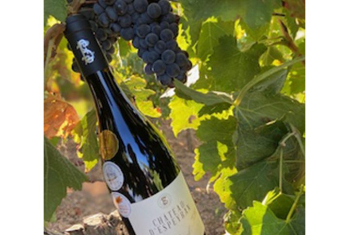 Eysperan Envol - Red Wine Award