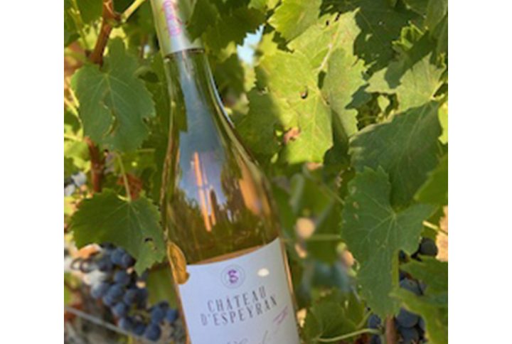 Eysperan Envol - Rose Wine Award